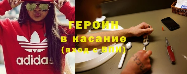 гашик Алексин