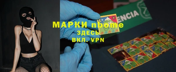 гашик Алексин