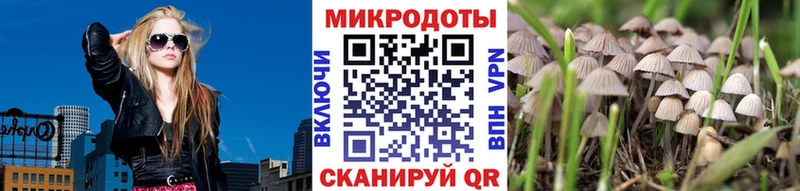 Псилоцибиновые грибы мицелий  наркотики  Тутаев 